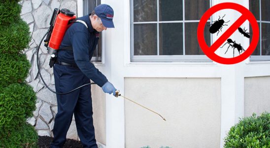 Kiğı Dezenfeksiyon böcek ilaçlama ve haşere kontrolü — ilaclama-tr.com